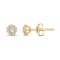 Diamond 0.20Ctw 10k Yellow Gold Earrings