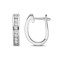 Diamond 0.33Ctw 10k White Gold Earrings