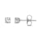 Diamond 0.33Ctw 14k White Gold Earrings