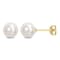6-6.5MM Freshwater Cultured Pearl Stud Earrings in 14K Yellow Gold