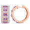 2 1/2ctw African Amethyst and White Topaz Hoop Earrings in 18K Rose Gold
Over Sterling Silver
