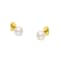 5.5-6.0MM Saltwater Akoya Cultured White Pearl 14K Yellow Gold Stud Earrings