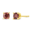 14K Yellow Gold 1/3 Cttw 4-Prong Set Round Pink Diamond Solitaire Stud Earrings