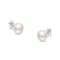 7.0-7.5MM Saltwater Akoya Cultured White Pearl 14K White Gold Stud Earrings