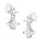 14K White Gold 3/4ctw Double Diamond Princess-Cut Stud Earrings