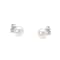 6.0-6.5MM Saltwater Akoya Cultured White Pearl 14K White Gold Stud Earrings