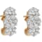 14K Yellow Gold 2.0ctw Round Cut Diamond Cluster Earrings