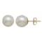 10K Yellow Gold White Fresh Water Pearl Stud Earrings