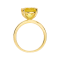 Canary Yellow Lab Sapphire 18K Yellow Gold Over Sterling Silver Round
Solitaire Ring