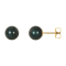 14K Yellow Gold 7 mm Black Akoya Cultured Pearl Stud Earrings with
Frication Back