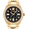 Queen Crystal Black Dial IP Yellow Bracelet Watch