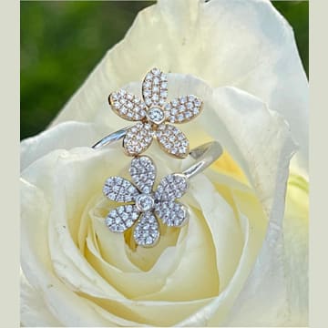 Gili Jewels