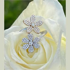 Gili Jewels