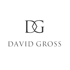 David Gross  profile image