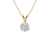 1 Ct 14K Gold IGI Certified Lab Grown Round Shape 3 Prong Diamond
Pendant Necklace Friendly Diamonds