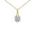 2 Ct 14K Gold IGI Certified Lab Grown Round Shape 4 Prong Diamond
Necklace Friendly Diamonds