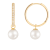 White Cultured Freshwater Pearl 14k Yellow Gold Earrings 8-8.5mm