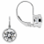 White Cubic Zirconia 14k White Gold Earrings With Velvet Gift Box 2.00ctw