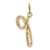 10K Yellow Gold Polished Letter p  Initial Charm