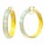 14K Yellow Gold Over Sterling Silver Large Iridescent Acrylic Hoops in Yellow
