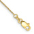 10k Yellow Gold Spiga Link Anklet