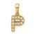 14K Yellow Gold Diamond Letter P Initial with Bail Pendant