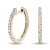 0.50ctw Diamond Hoop Earrings in 14k Yellow Gold