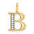 10k Yellow Gold and Rhodium Over 10k Yellow Gold Diamond Letter B
Initial Pendant
