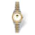 LogoArt University of Iowa Pro Two-tone Ladies Watch