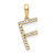 14k Yellow Gold Diamond Letter F Initial Pendant