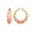 14K Yellow Gold Over Sterling Silver Bamboo Acrylic Hoops in Autumn Leaves