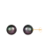 14k Yellow Gold 10-11mm Black Freshwater Pearl Stud Earrings