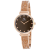 Roberto Bianci Women's Billare Brown Dial, Rose Stainless Steel Watch