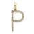 14K Yellow Gold Diamond Letter P Initial Pendant