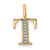 14K Yellow Gold Diamond Letter T Initial Pendant