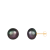 14k Yellow Gold 10-11mm Black Freshwater Pearl Stud Earrings