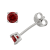 Sterling Silver 4mm Cubic Zirconia Birthstone Series Stud Earrings