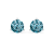 2.00 d.e.w cts Bella Moi Moissanite Stud Earrings