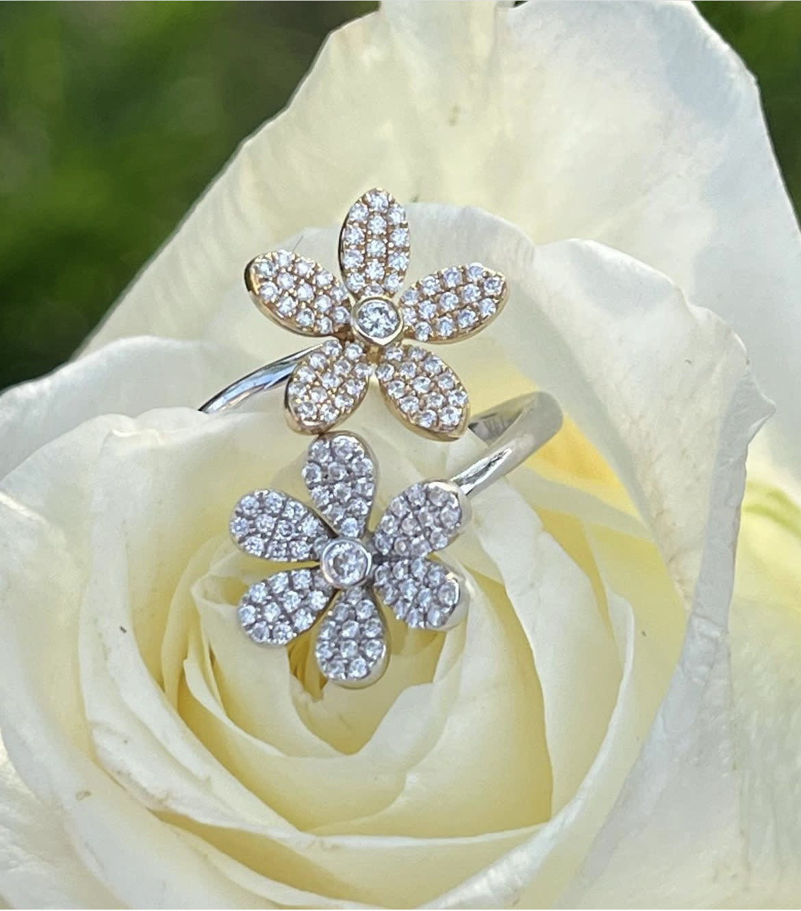 Gili Jewels 
