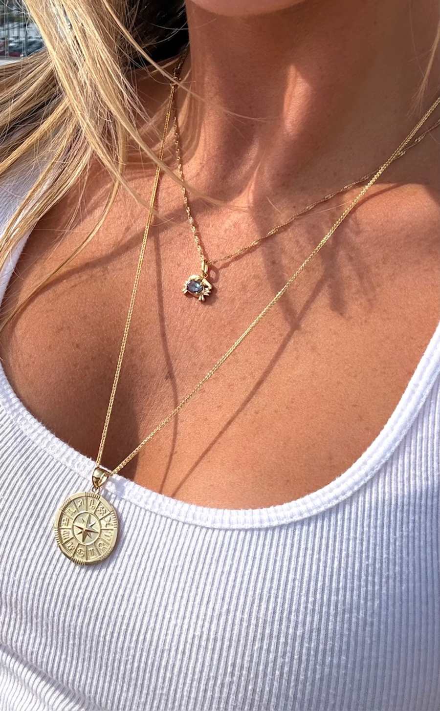 Styled image of Zodiac Symbol Pendant in 10k gold 
